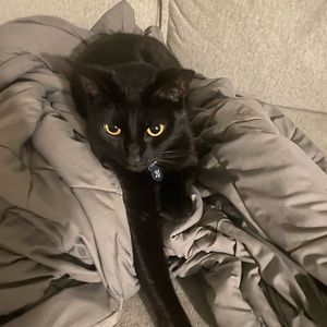 Meet your Posher, Patrick